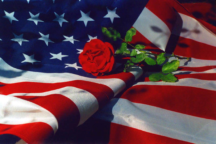 Amercain flag with a Rose