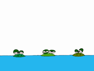 Alligator & frogs