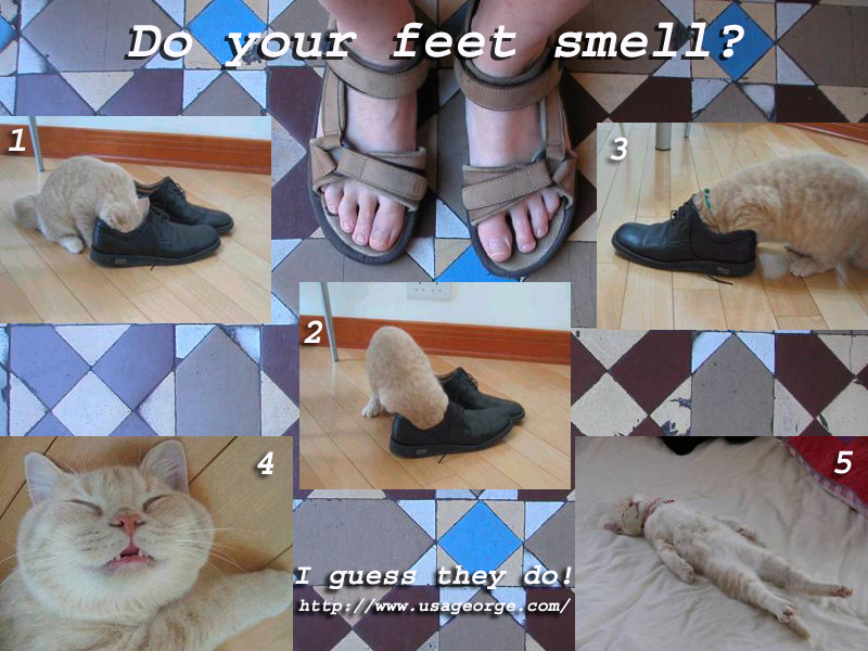 smelly feet