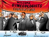 Gynecologists (jpg)