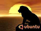 Ubuntu Lion