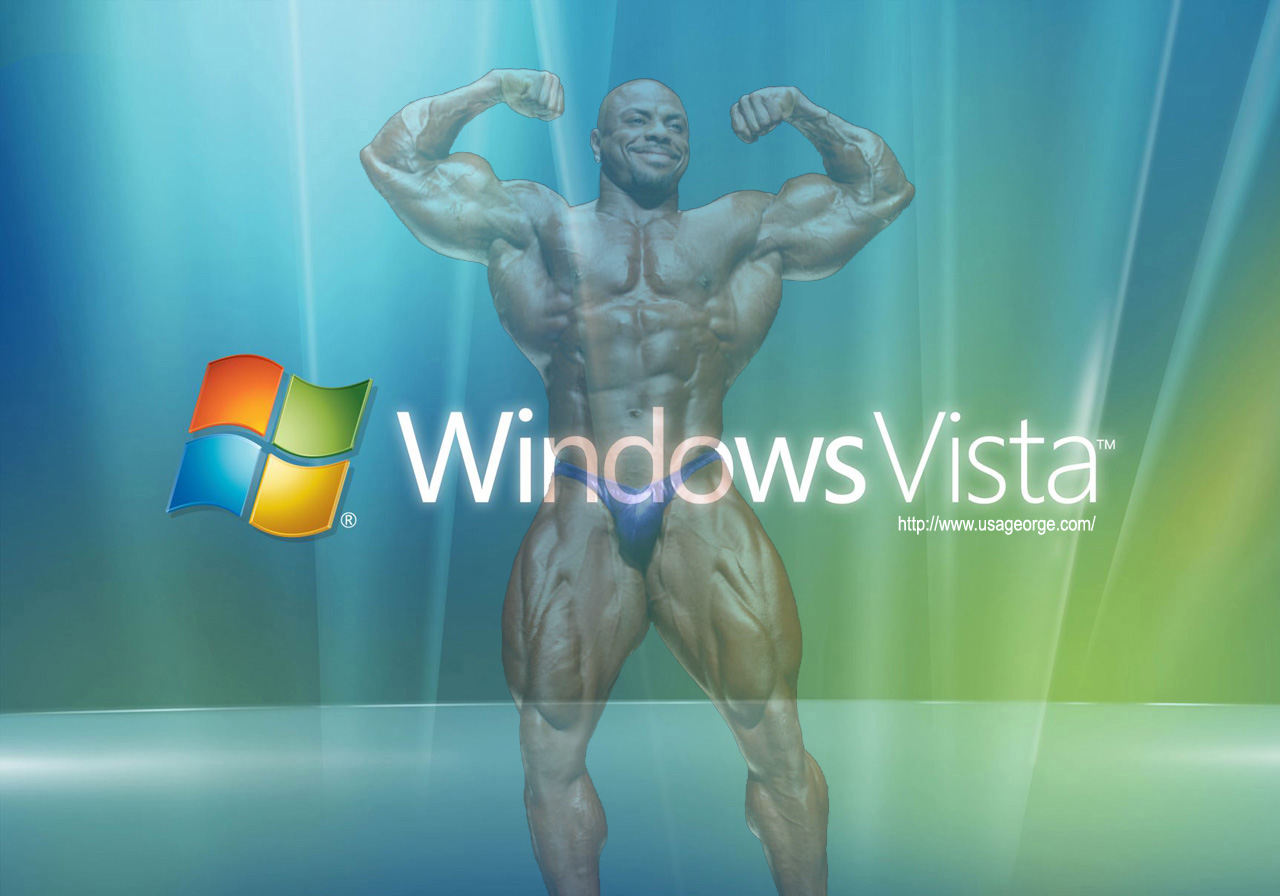 Windows Vista Power