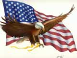 Amercian Flag & Eagle